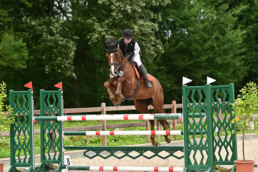 Klein Offenseth  - Hengststation Hell | 26072025 M++ Springen _38 