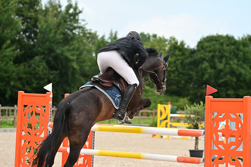 Klein Offenseth  - Hengststation Hell | 26072025 M++ Springen _43 