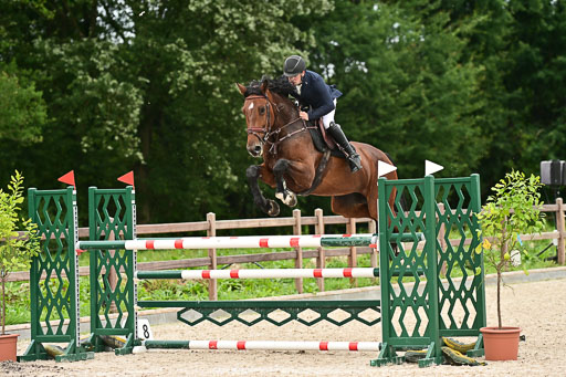 Klein Offenseth  - Hengststation Hell | 26072025 M++ Springen _49 