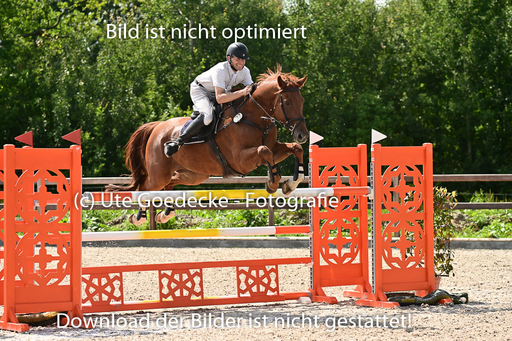 Klein Offenseth  - Hengststation Hell | 26072025 S+ Springen _24 