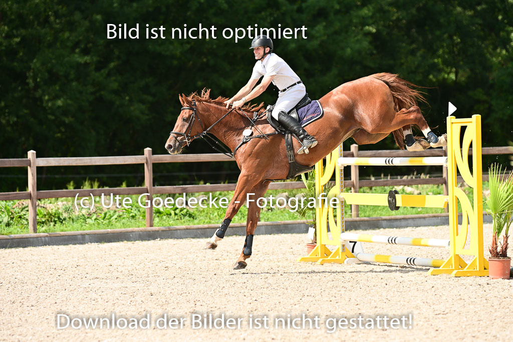 Klein Offenseth  - Hengststation Hell | 26072025 S+ Springen _26 