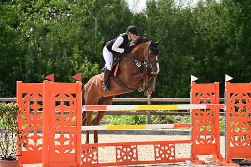 Klein Offenseth  - Hengststation Hell | 26072025 S+ Springen _15 