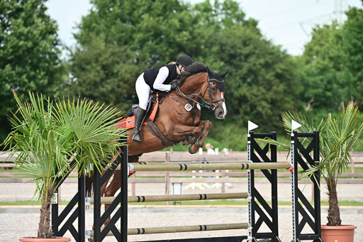 Klein Offenseth  - Hengststation Hell | 26072025 S+ Springen _18 