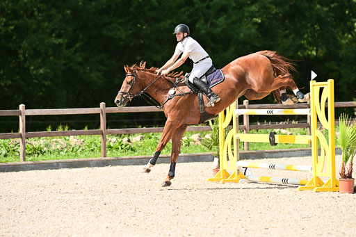 Klein Offenseth  - Hengststation Hell | 26072025 S+ Springen _26 