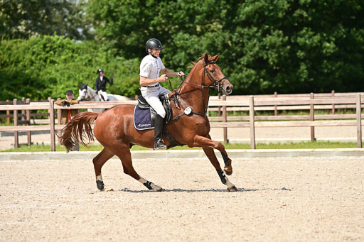 Klein Offenseth  - Hengststation Hell | 26072025 S+ Springen _27 