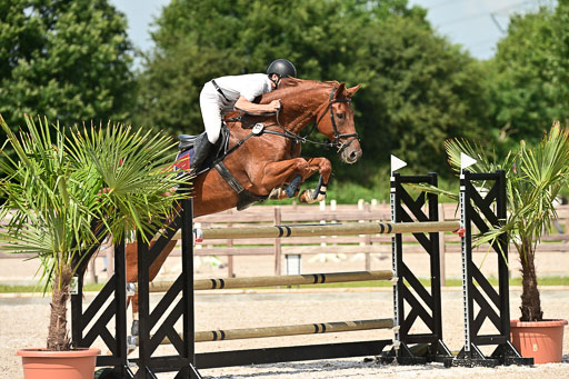 Klein Offenseth  - Hengststation Hell | 26072025 S+ Springen _28 