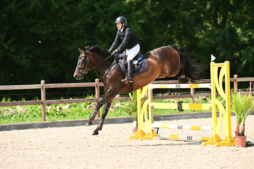 Klein Offenseth  - Hengststation Hell | 26072025 S+ Springen _31 