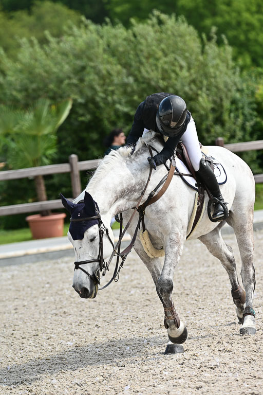 Klein Offenseth  - Hengststation Hell | 26072025 S+ Springen _42 