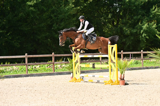 Klein Offenseth  - Hengststation Hell | 26072025 S+ Springen _46 