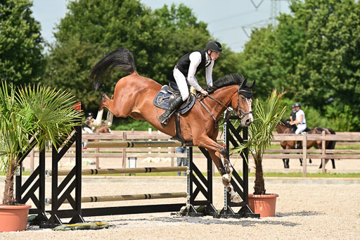 Klein Offenseth  - Hengststation Hell | 26072025 S+ Springen _49 