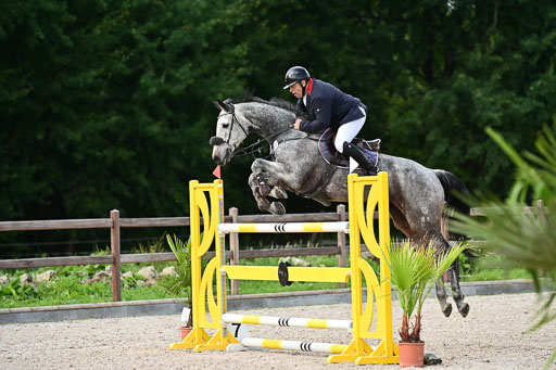 Klein Offenseth  - Hengststation Hell | 26072025 S+ Springen _53 