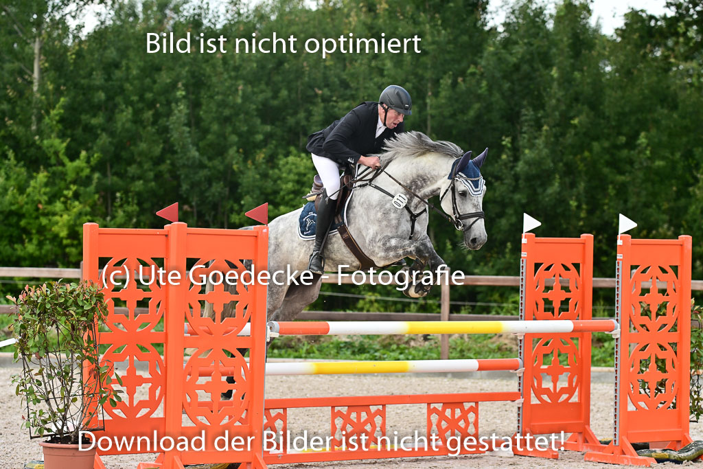 Klein Offenseth  - Hengststation Hell | 26072025 M+ Springen _005 