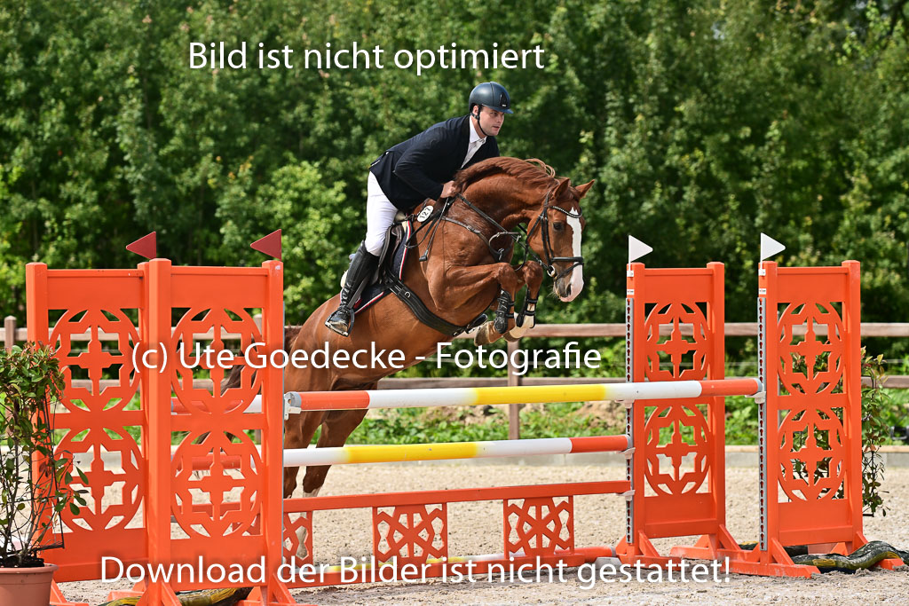 Klein Offenseth - Hengststation Hell | 26072025 M+ Springen _010