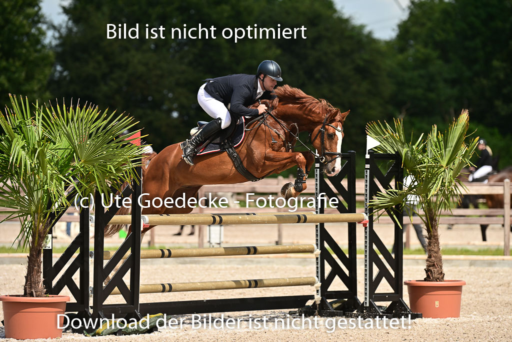 Klein Offenseth  - Hengststation Hell | 26072025 M+ Springen _014 
