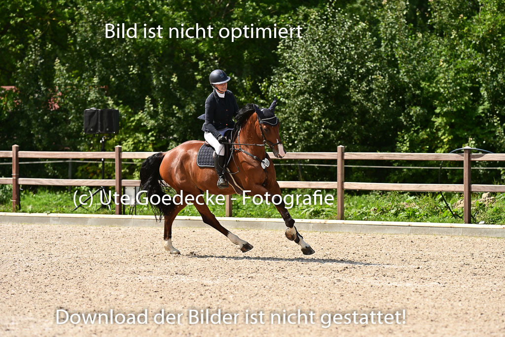 Klein Offenseth  - Hengststation Hell | 26072025 M+ Springen _020 