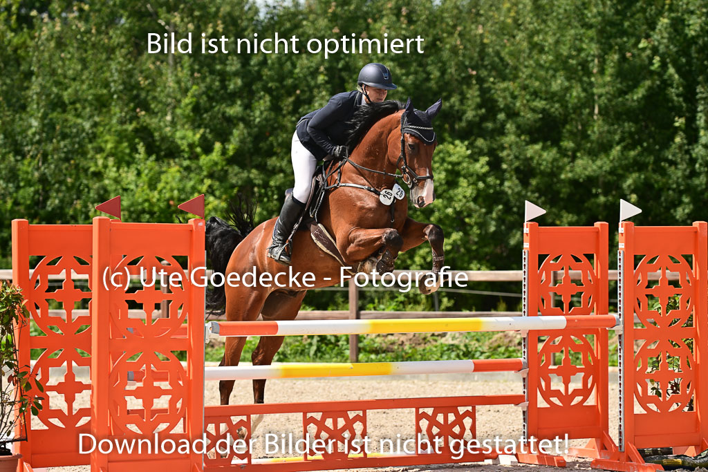Klein Offenseth - Hengststation Hell | 26072025 M+ Springen _021