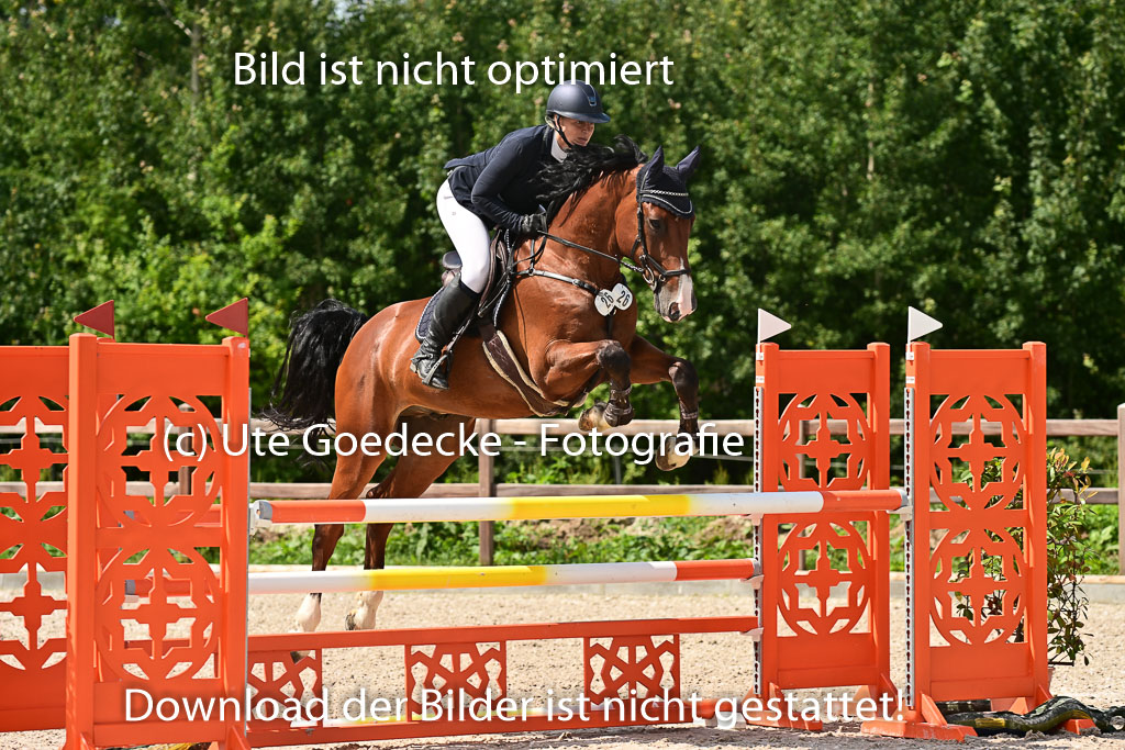 Klein Offenseth - Hengststation Hell | 26072025 M+ Springen _022