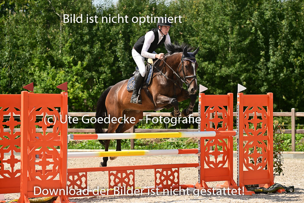 Klein Offenseth  - Hengststation Hell | 26072025 M+ Springen _027 