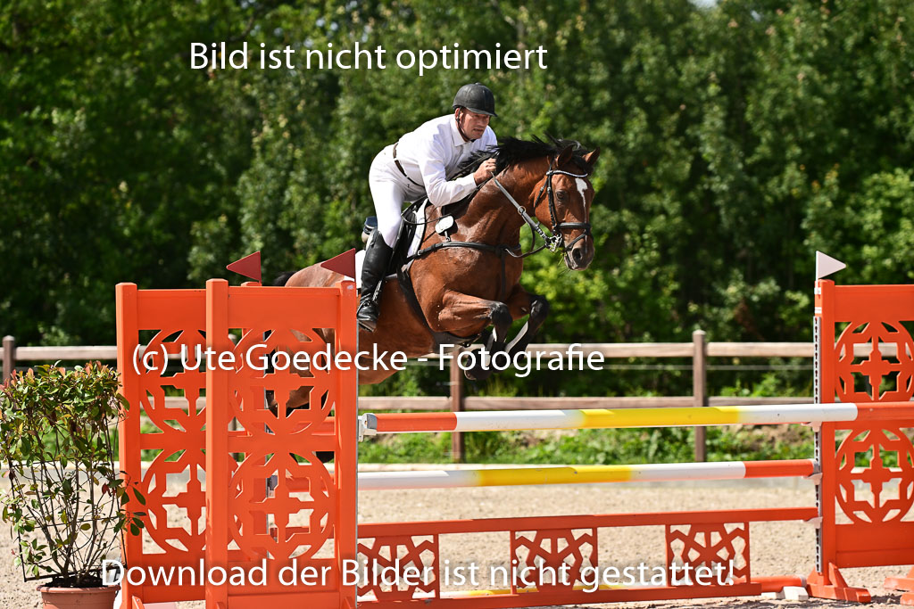 Klein Offenseth  - Hengststation Hell | 26072025 M+ Springen _032 