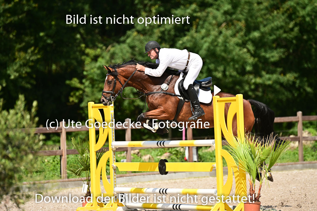 Klein Offenseth  - Hengststation Hell | 26072025 M+ Springen _033 
