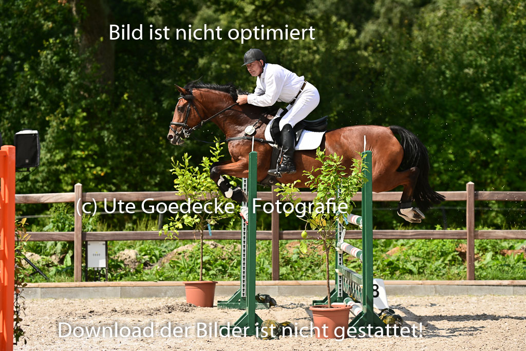 Klein Offenseth - Hengststation Hell | 26072025 M+ Springen _036