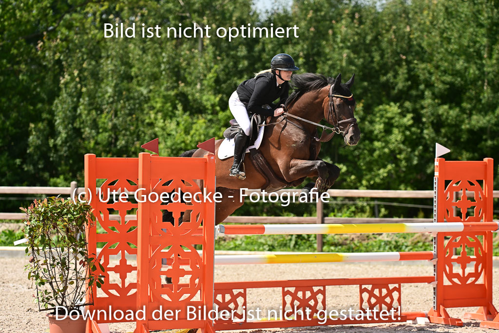 Klein Offenseth  - Hengststation Hell | 26072025 M+ Springen _043 