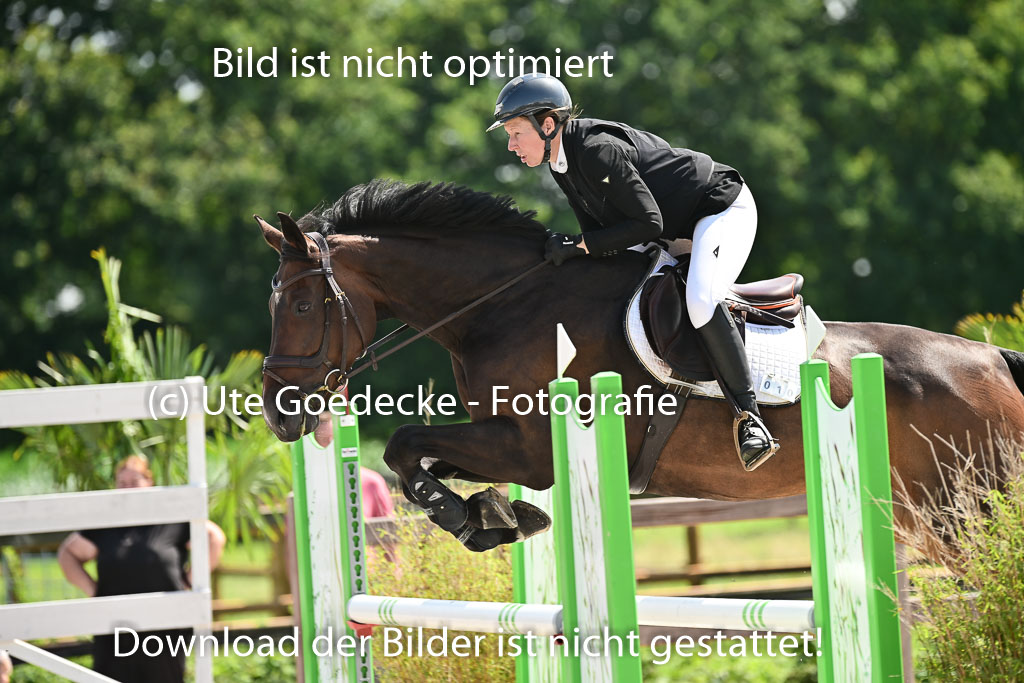 Klein Offenseth  - Hengststation Hell | 26072025 M+ Springen _047 