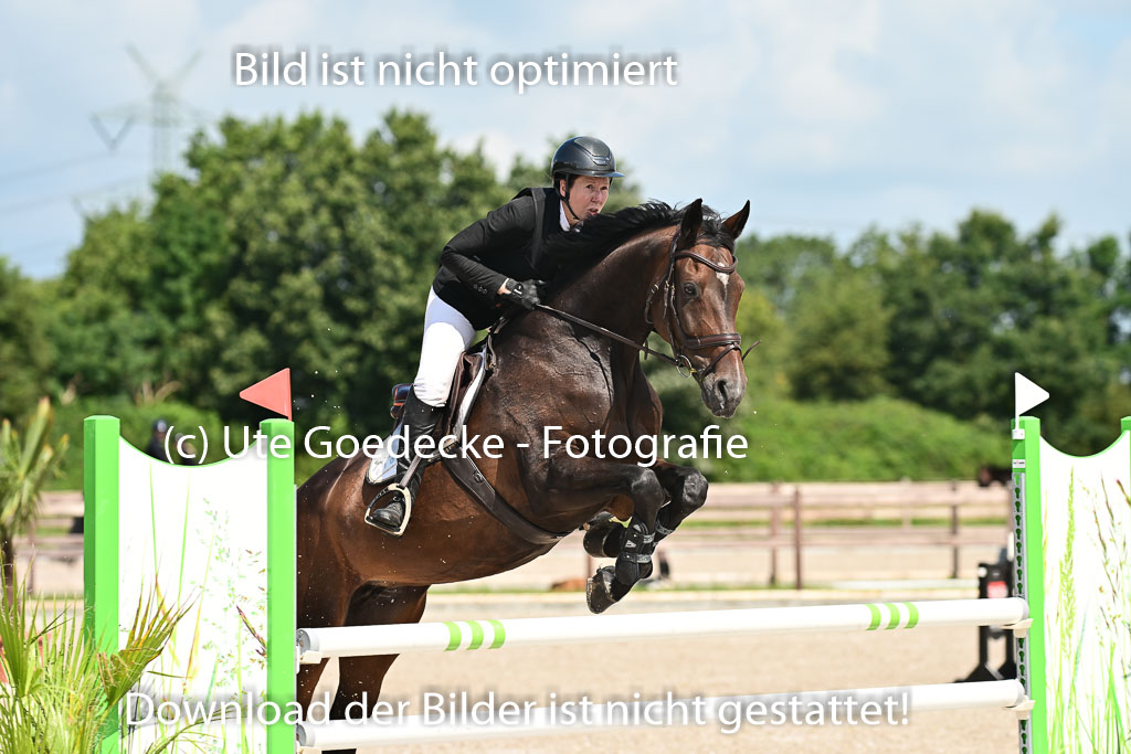 Klein Offenseth  - Hengststation Hell | 26072025 M+ Springen _048 