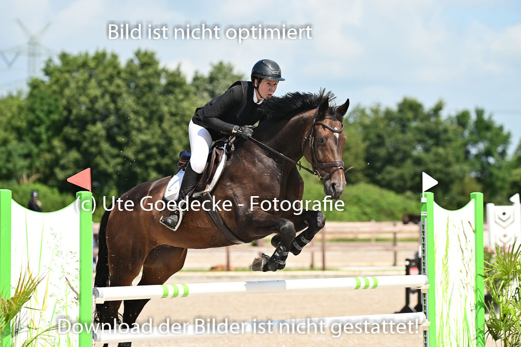 Klein Offenseth  - Hengststation Hell | 26072025 M+ Springen _049 