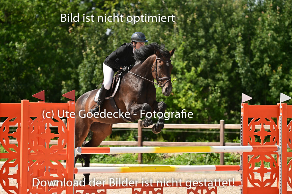 Klein Offenseth  - Hengststation Hell | 26072025 M+ Springen _050 