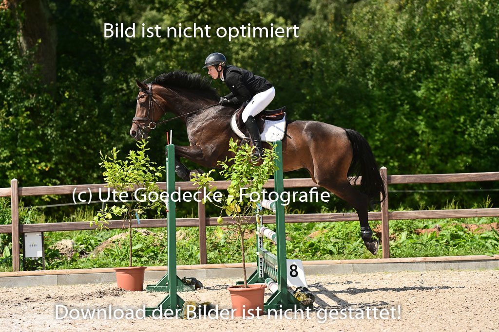 Klein Offenseth - Hengststation Hell | 26072025 M+ Springen _052