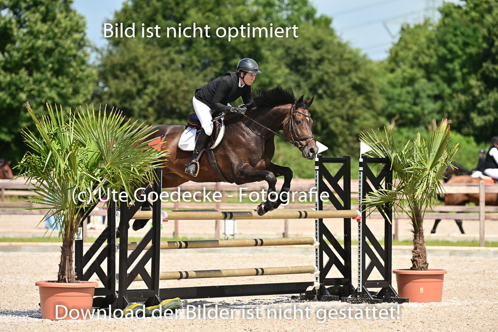 Klein Offenseth  - Hengststation Hell | 26072025 M+ Springen _054 