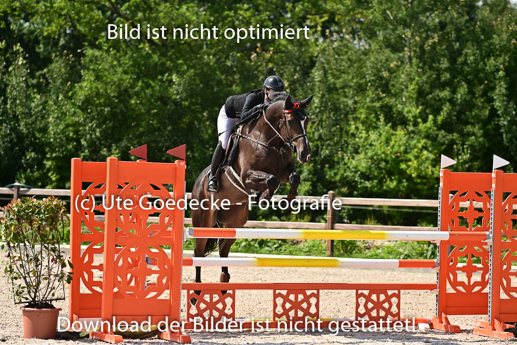 Klein Offenseth  - Hengststation Hell | 26072025 M+ Springen _067 