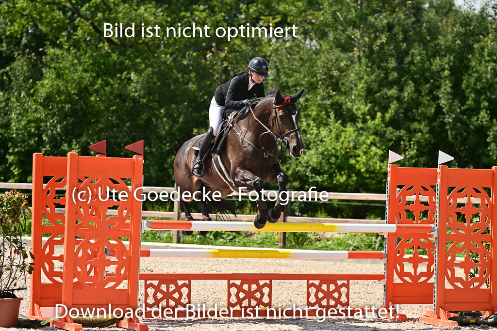 Klein Offenseth  - Hengststation Hell | 26072025 M+ Springen _068 