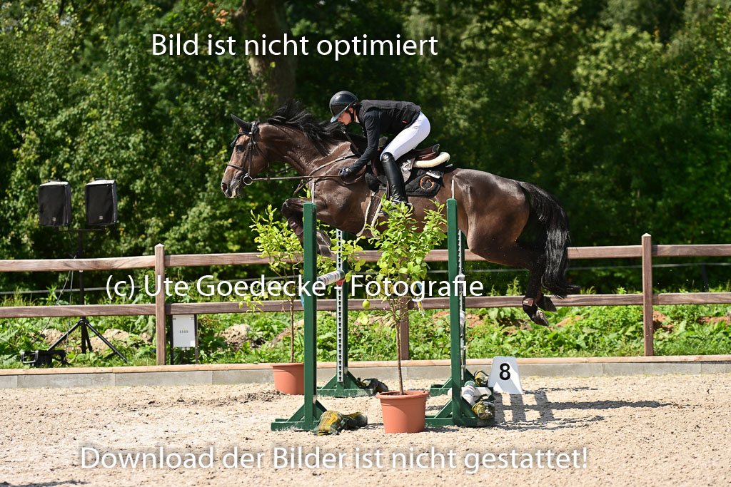 Klein Offenseth  - Hengststation Hell | 26072025 M+ Springen _071 