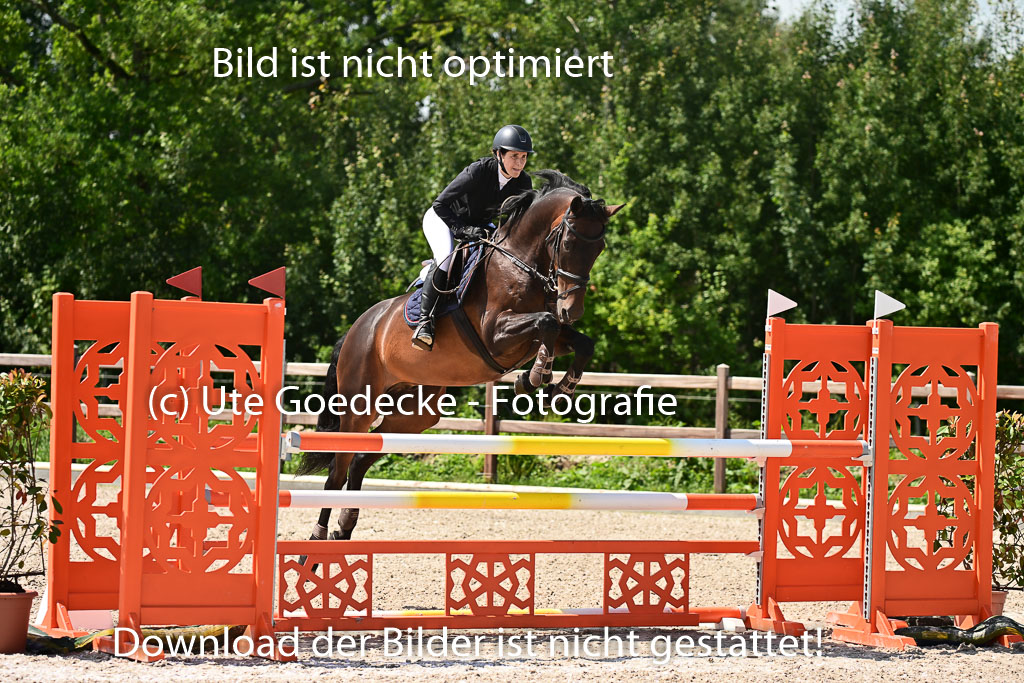Klein Offenseth  - Hengststation Hell | 26072025 M+ Springen _076 