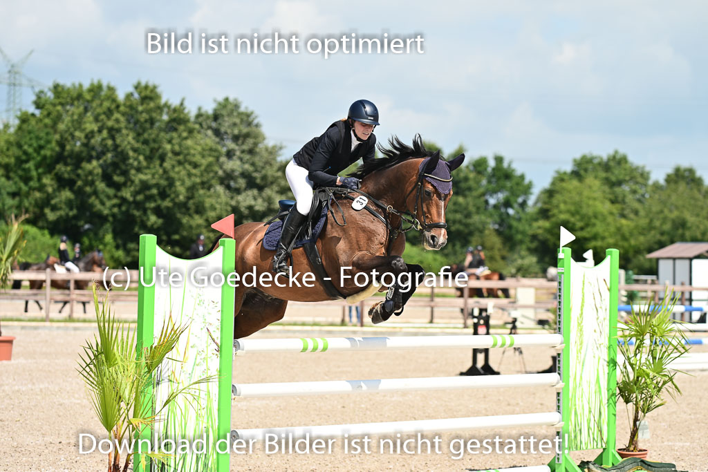 Klein Offenseth - Hengststation Hell | 26072025 M+ Springen _078