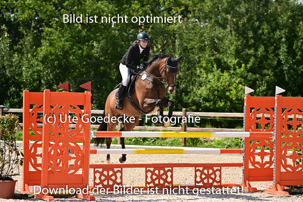 Klein Offenseth  - Hengststation Hell | 26072025 M+ Springen _080 