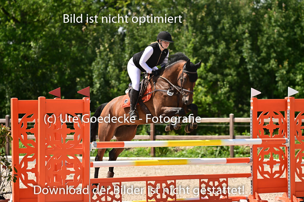 Klein Offenseth - Hengststation Hell | 26072025 M+ Springen _084