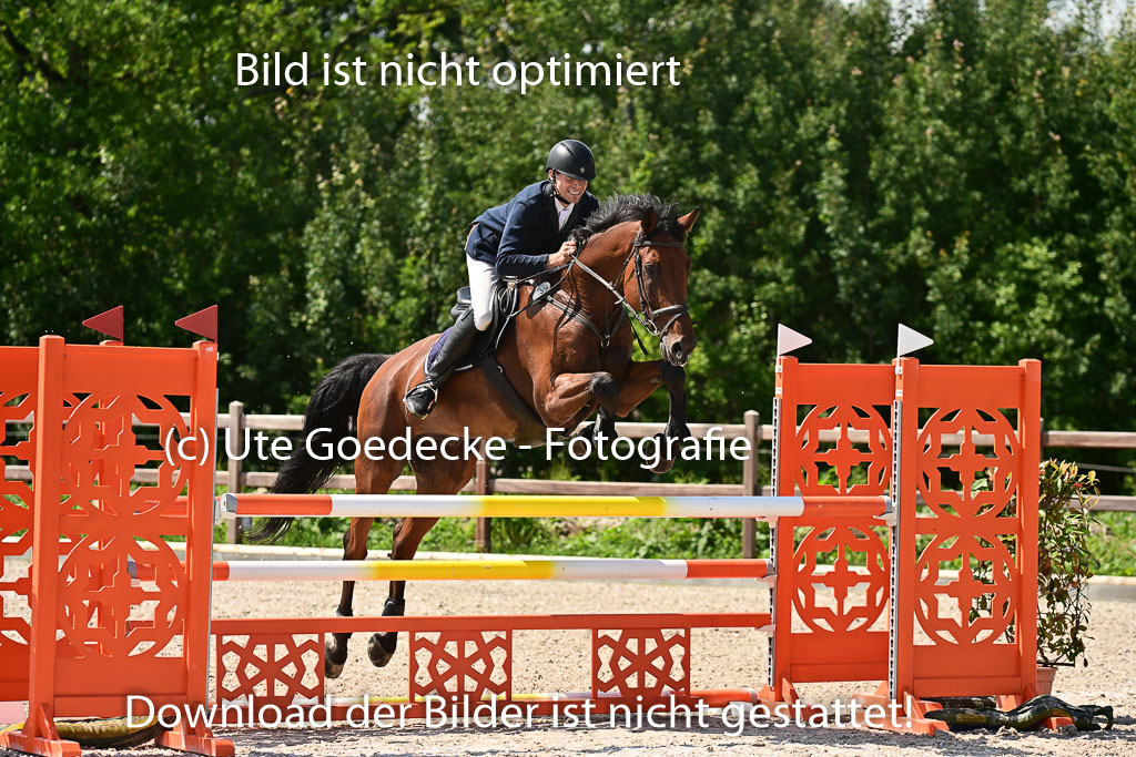 Klein Offenseth  - Hengststation Hell | 26072025 M+ Springen _090 