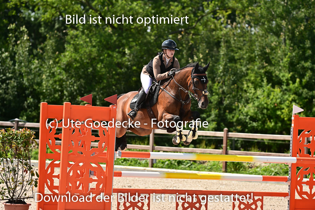 Klein Offenseth  - Hengststation Hell | 26072025 M+ Springen _095 