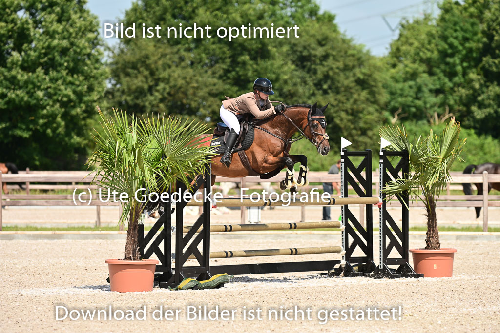Klein Offenseth  - Hengststation Hell | 26072025 M+ Springen _098 