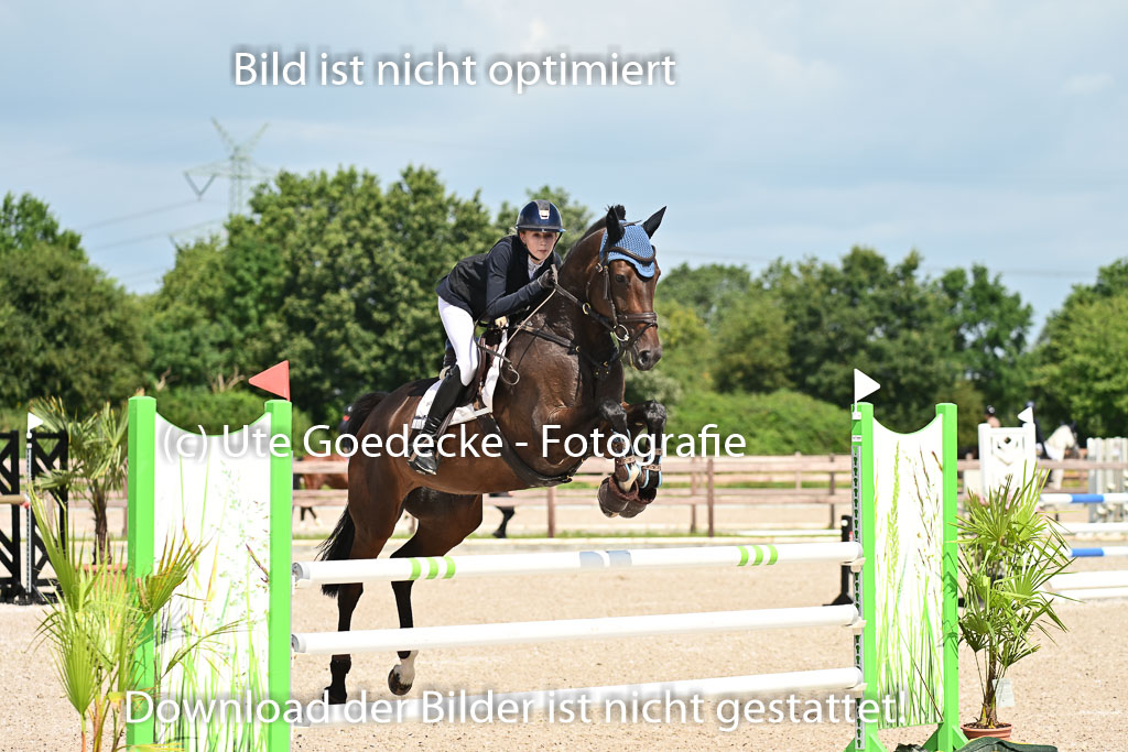 Klein Offenseth - Hengststation Hell | 26072025 M+ Springen _100