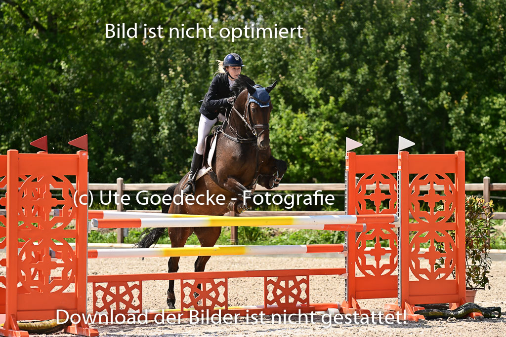 Klein Offenseth  - Hengststation Hell | 26072025 M+ Springen _102 