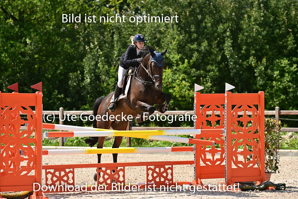 Klein Offenseth - Hengststation Hell | 26072025 M+ Springen _103