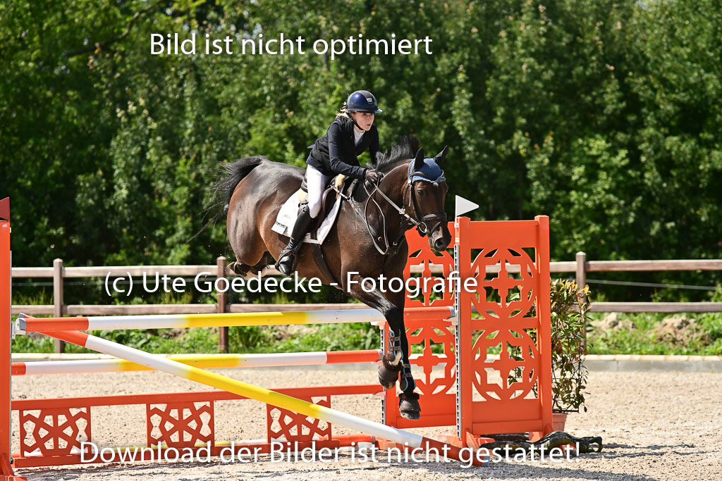Klein Offenseth  - Hengststation Hell | 26072025 M+ Springen _104 