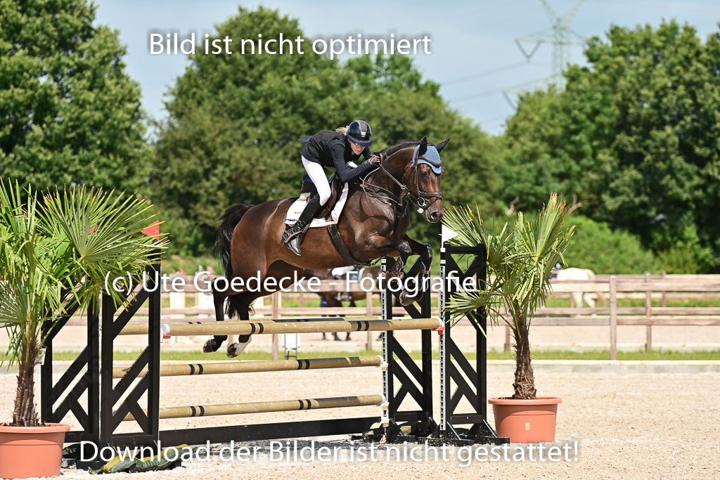 Klein Offenseth  - Hengststation Hell | 26072025 M+ Springen _107 