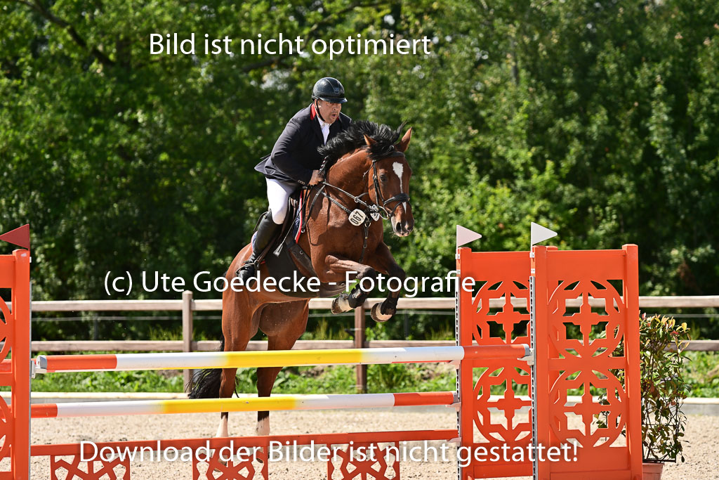 Klein Offenseth  - Hengststation Hell | 26072025 M+ Springen _109 