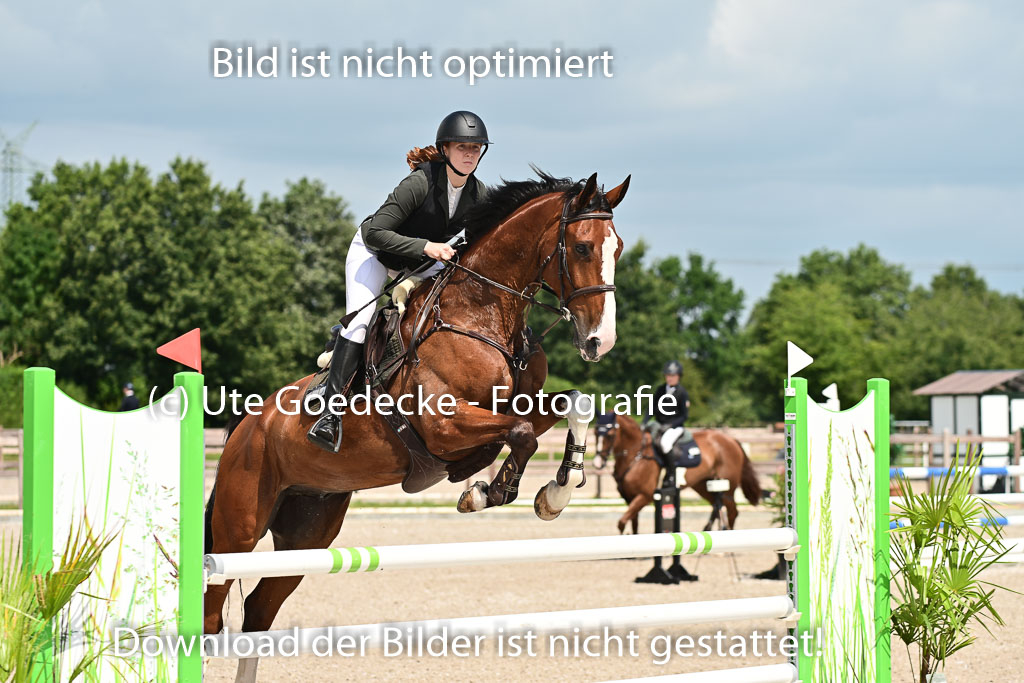 Klein Offenseth - Hengststation Hell | 26072025 M+ Springen _111