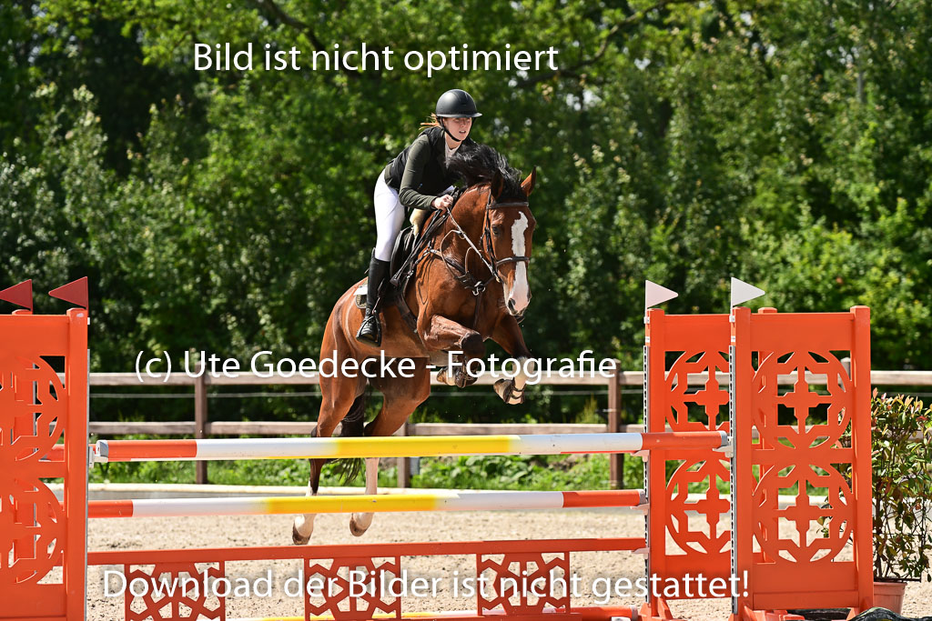 Klein Offenseth  - Hengststation Hell | 26072025 M+ Springen _113 